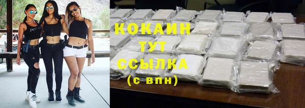 индика Покровск