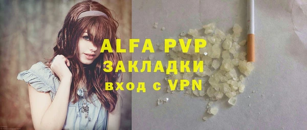 PSILOCYBIN Пересвет