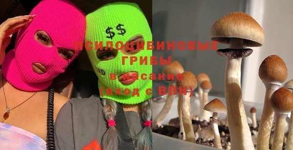 PSILOCYBIN Пересвет