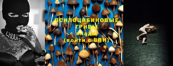 стаф Володарск