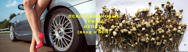 дмт Переславль-Залесский