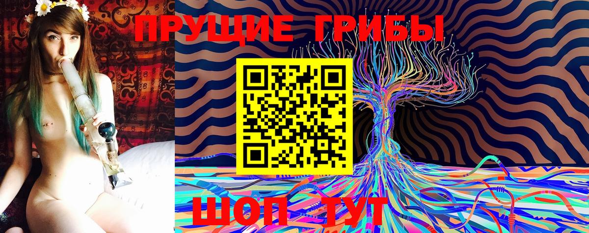 Черногорск  Галлюциногенные грибы мухоморы  Вход с VPN 