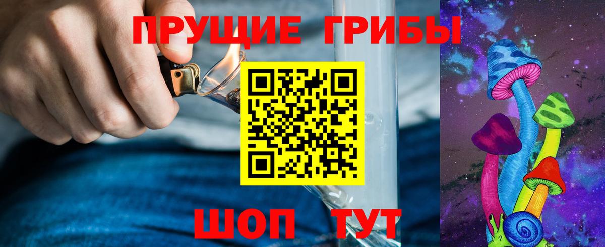 Галлюциногенные грибы Черногорск