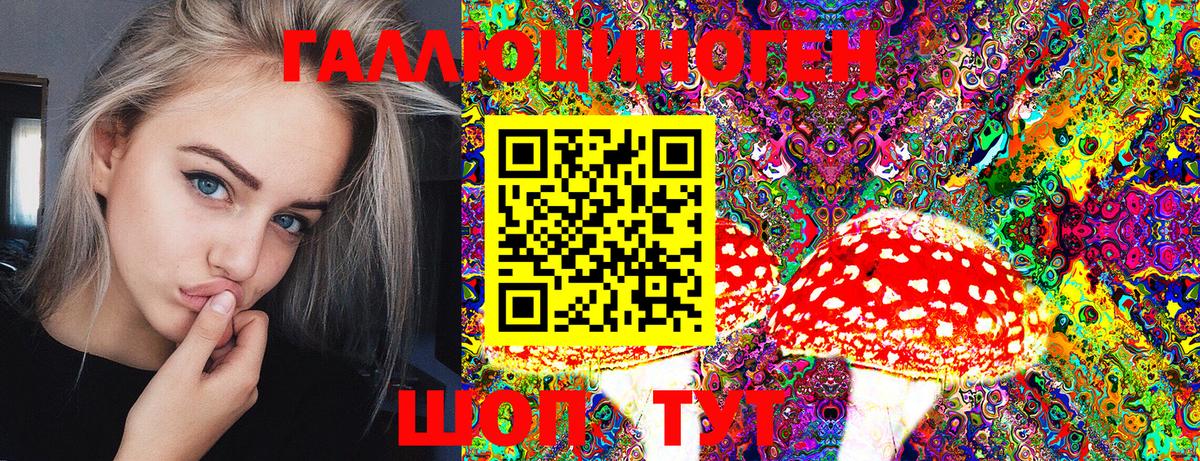 Псилоцибиновые грибы прущие грибы  где купить наркотик  Черногорск 